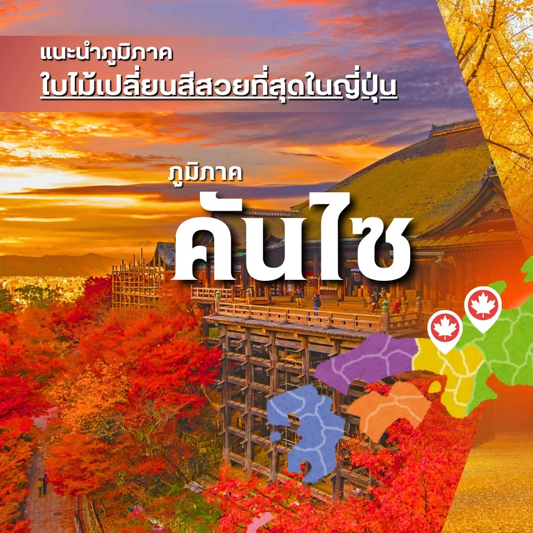 ใบไม้เปลี่ยนสี ญี่ปุ่น, เที่ยวคันไซ ใบไม้แดง, ชิราคาวาโกะ ใบไม้เปลี่ยนสี, โครังเค ใบไม้แดง, ซากุระ โอบาระ