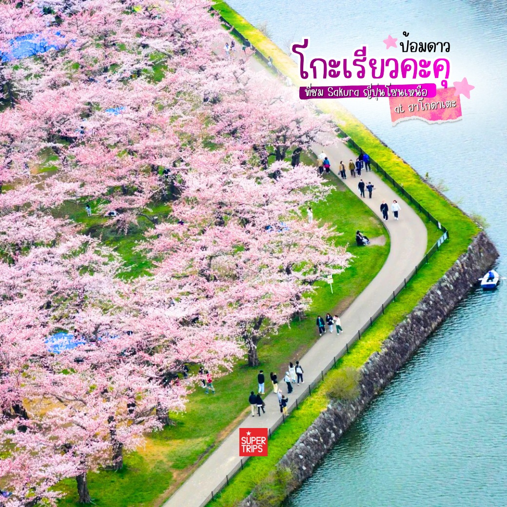 ซากุระฮอกไกโด, Goryokaku Park, เที่ยวฮาโกดาเตะ, ป้อมดาว 5 แฉก, พยากรณ์ซากุระ 2026, เที่ยวญี่ปุ่นเมษายน, Hakodate Sakura, Goryokaku Tower, จุดชมซากุระฮอกไกโด, รีวิวญี่ปุ่น