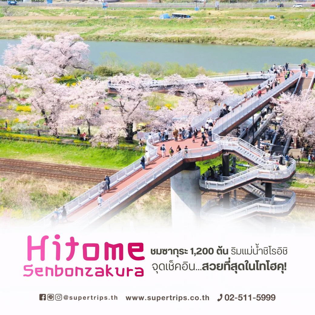 โทโฮคุ, เซ็นได, ซากุระโทโฮคุ, จุดชมซากุระญี่ปุ่น, ซาโอะ, แม่น้ำชิโรอิชิ, ทัวร์ญี่ปุ่นฤดูใบไม้ผลิ, เที่ยวญี่ปุ่นเมษายน, เที่ยวญี่ปุ่นสงกรานต์