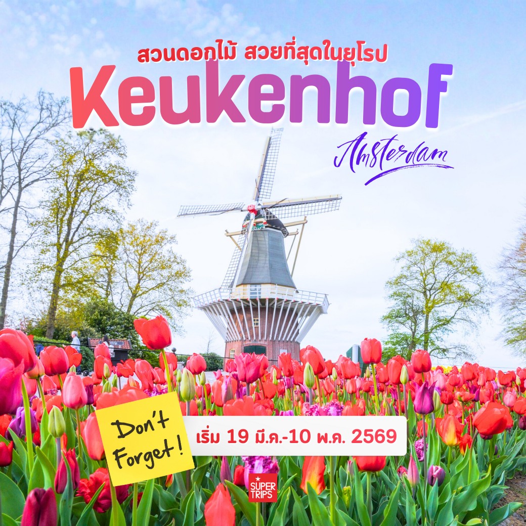 Keukenhof 2569 กลับมาอีกครั้งกับเทศกาลดอกไม้ที่ยิ่งใหญ่ที่สุดในยุโรป จัดแสดงระหว่างวันที่ 19 มีนาคม