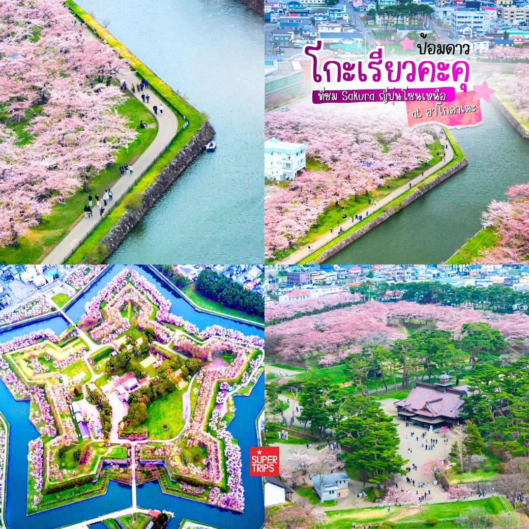 ซากุระฮอกไกโด, Goryokaku Park, เที่ยวฮาโกดาเตะ, ป้อมดาว 5 แฉก, พยากรณ์ซากุระ 2026, เที่ยวญี่ปุ่นเมษายน, Hakodate Sakura, Goryokaku Tower, จุดชมซากุระฮอกไกโด, รีวิวญี่ปุ่น