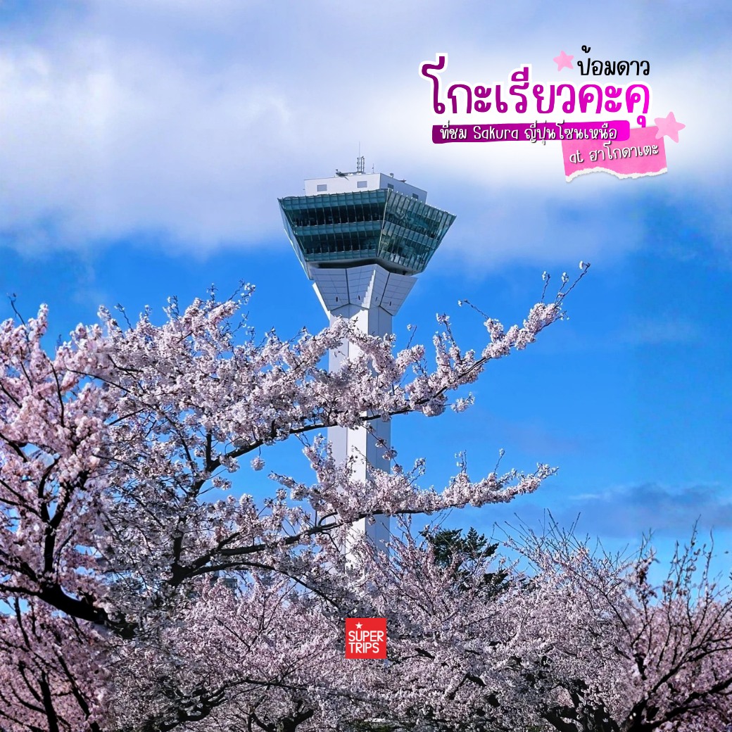 ซากุระฮอกไกโด, Goryokaku Park, เที่ยวฮาโกดาเตะ, ป้อมดาว 5 แฉก, พยากรณ์ซากุระ 2026, เที่ยวญี่ปุ่นเมษายน, Hakodate Sakura, Goryokaku Tower, จุดชมซากุระฮอกไกโด, รีวิวญี่ปุ่น