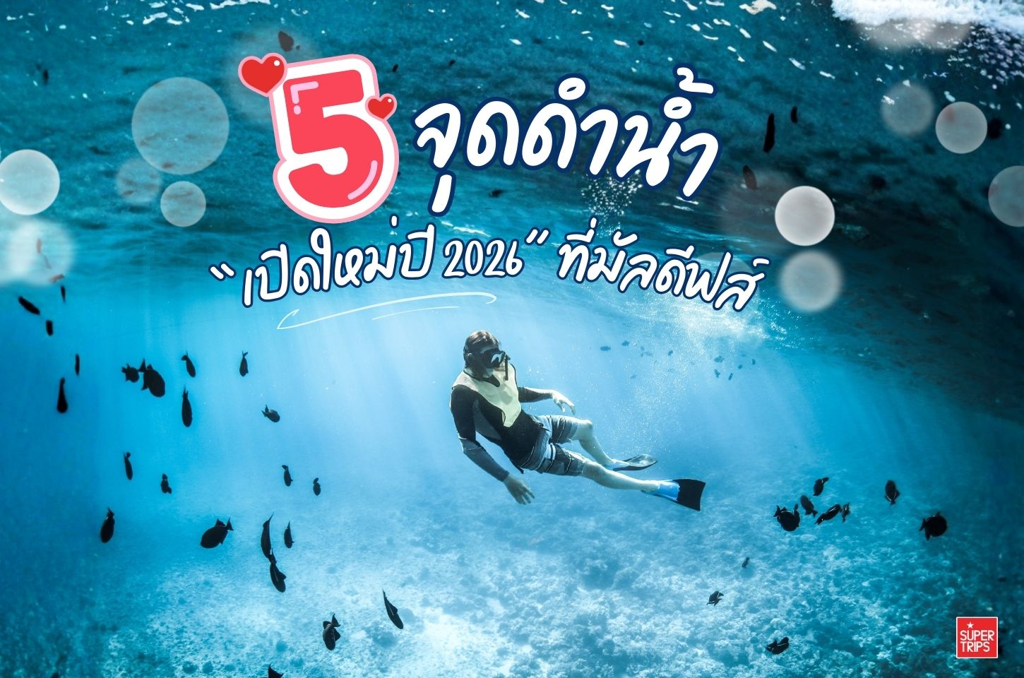 5 จุดดำน้ำเปิดใหม่ปี 2026 ที่มัลดีฟส์ – ปะการังฟื้นตัว สีสันสดกว่าเดิม