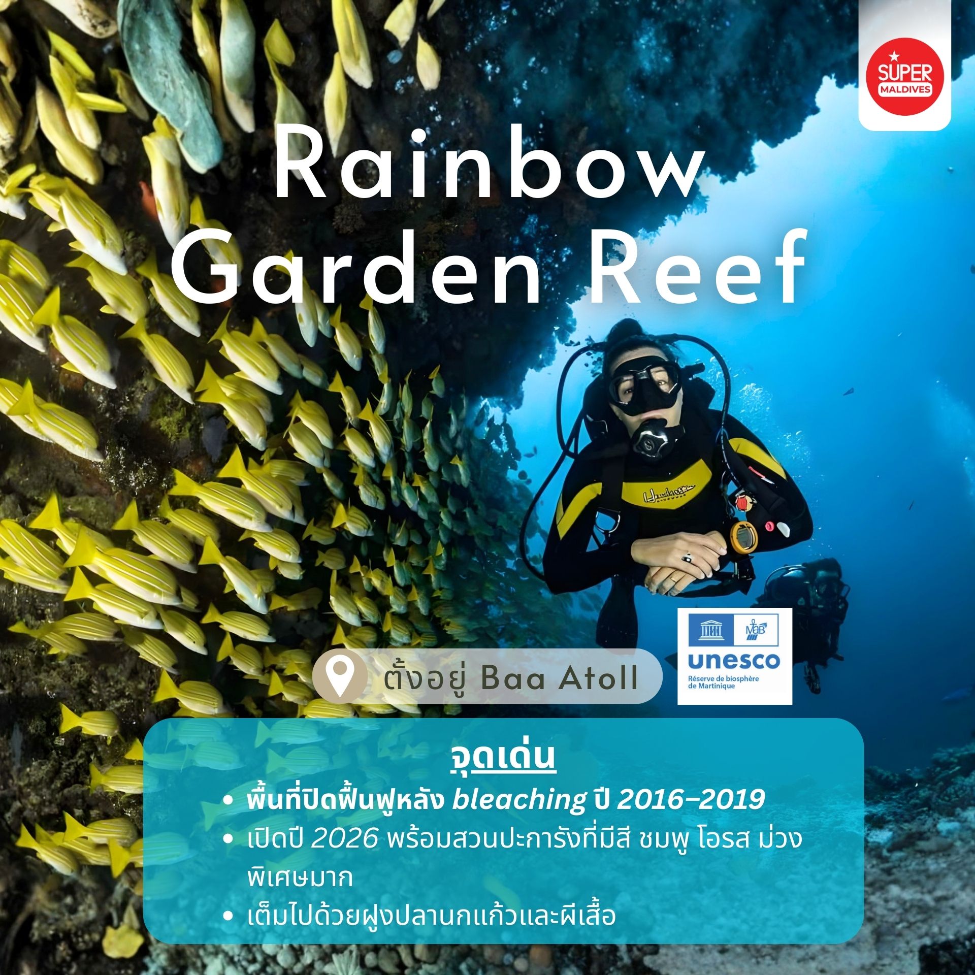 ดำน้ำมัลดีฟส์ 2026, จุดดำน้ำใหม่มัลดีฟส์, ปะการังฟื้นตัวมัลดีฟส์, ดำน้ำ 2026, Maldives dive sites, Coral Restoration Maldives, ที่เที่ยวมัลดีฟส์