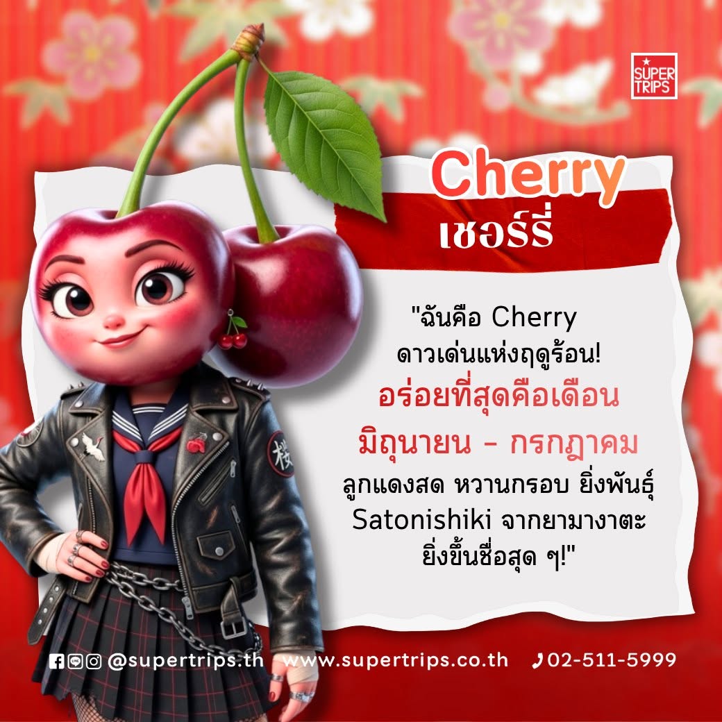 ผลไม้ญี่ปุ่น ฤดูกาล, เที่ยวญี่ปุ่น 2026, สตรอว์เบอร์รี่ญี่ปุ่น เดือนไหน, ผลไม้ญี่ปุ่น เมล่อน พีช, Supertrips วางแผนเที่ยว