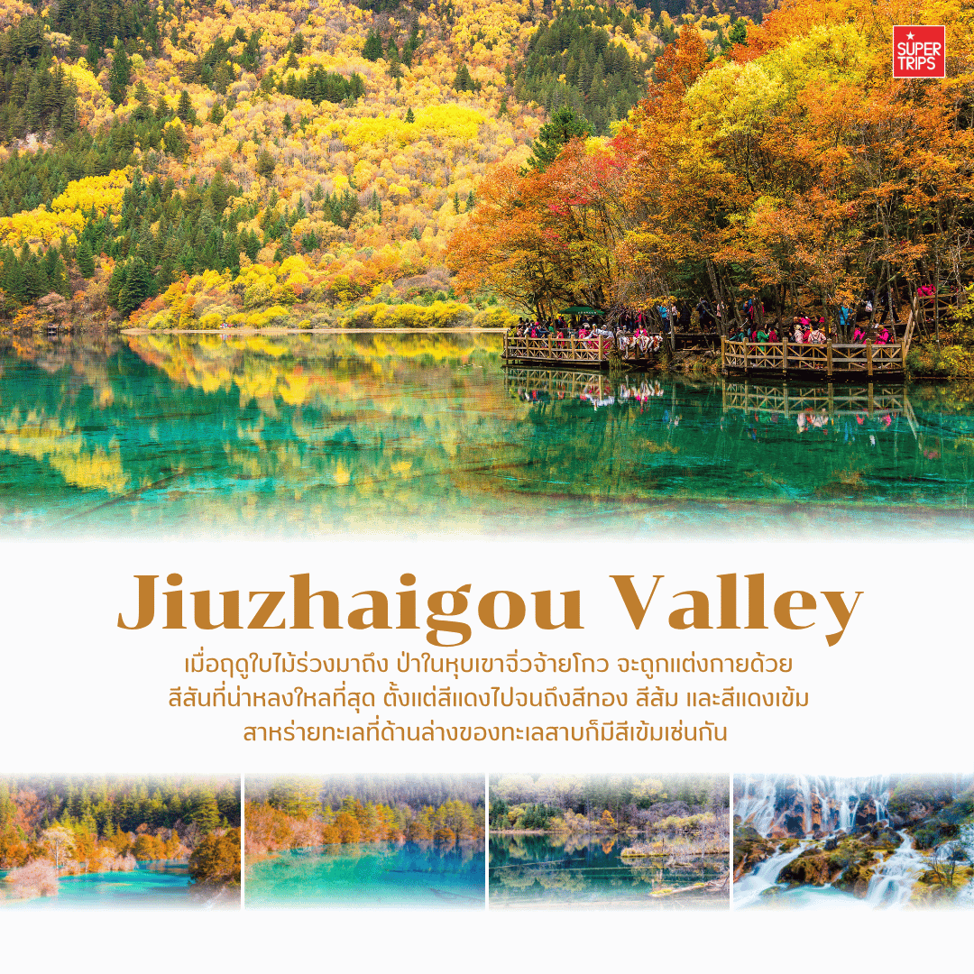 เที่ยวจีนใบไม้เปลี่ยนสี, ที่เที่ยวจีน 2025, ใบไม้เปลี่ยนสีจีน, ภูเขาใบไม้เปลี่ยนสีสวยที่สุดในจีน, ทัวร์จีนฤดูใบไม้ร่วง