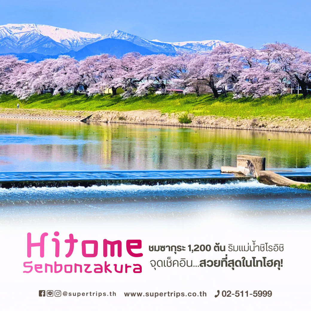 โทโฮคุ, เซ็นได, ซากุระโทโฮคุ, จุดชมซากุระญี่ปุ่น, ซาโอะ, แม่น้ำชิโรอิชิ, ทัวร์ญี่ปุ่นฤดูใบไม้ผลิ, เที่ยวญี่ปุ่นเมษายน, เที่ยวญี่ปุ่นสงกรานต์