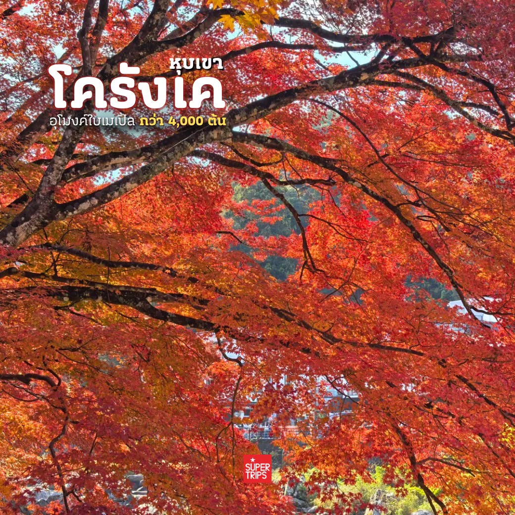 Supertrips, ซูเปอร์ทริปส์, โครังเค, ใบไม้เปลี่ยนสีญี่ปุ่น, เที่ยวญี่ปุ่นด้วยตัวเอง, หุบเขาโครังเค, Korankei Autumn