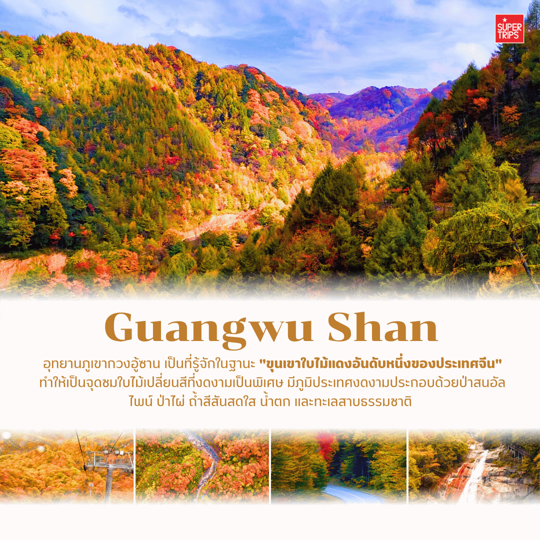 เที่ยวจีนใบไม้เปลี่ยนสี, ที่เที่ยวจีน 2025, ใบไม้เปลี่ยนสีจีน, ภูเขาใบไม้เปลี่ยนสีสวยที่สุดในจีน, ทัวร์จีนฤดูใบไม้ร่วง