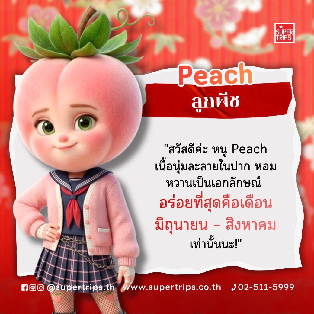 ผลไม้ญี่ปุ่น ฤดูกาล, เที่ยวญี่ปุ่น 2026, สตรอว์เบอร์รี่ญี่ปุ่น เดือนไหน, ผลไม้ญี่ปุ่น เมล่อน พีช, Supertrips วางแผนเที่ยว