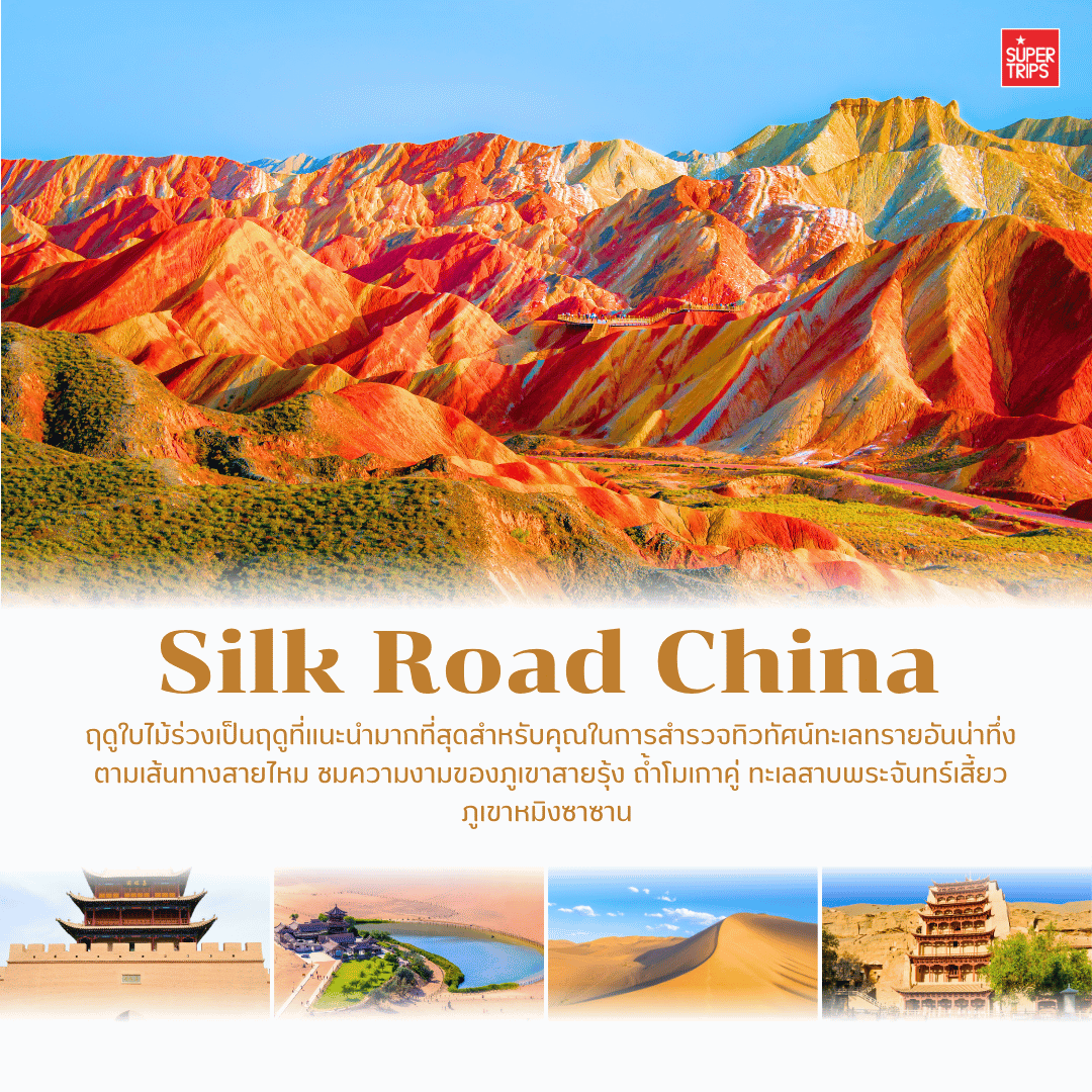 เที่ยวจีนใบไม้เปลี่ยนสี, ที่เที่ยวจีน 2025, ใบไม้เปลี่ยนสีจีน, ภูเขาใบไม้เปลี่ยนสีสวยที่สุดในจีน, ทัวร์จีนฤดูใบไม้ร่วง