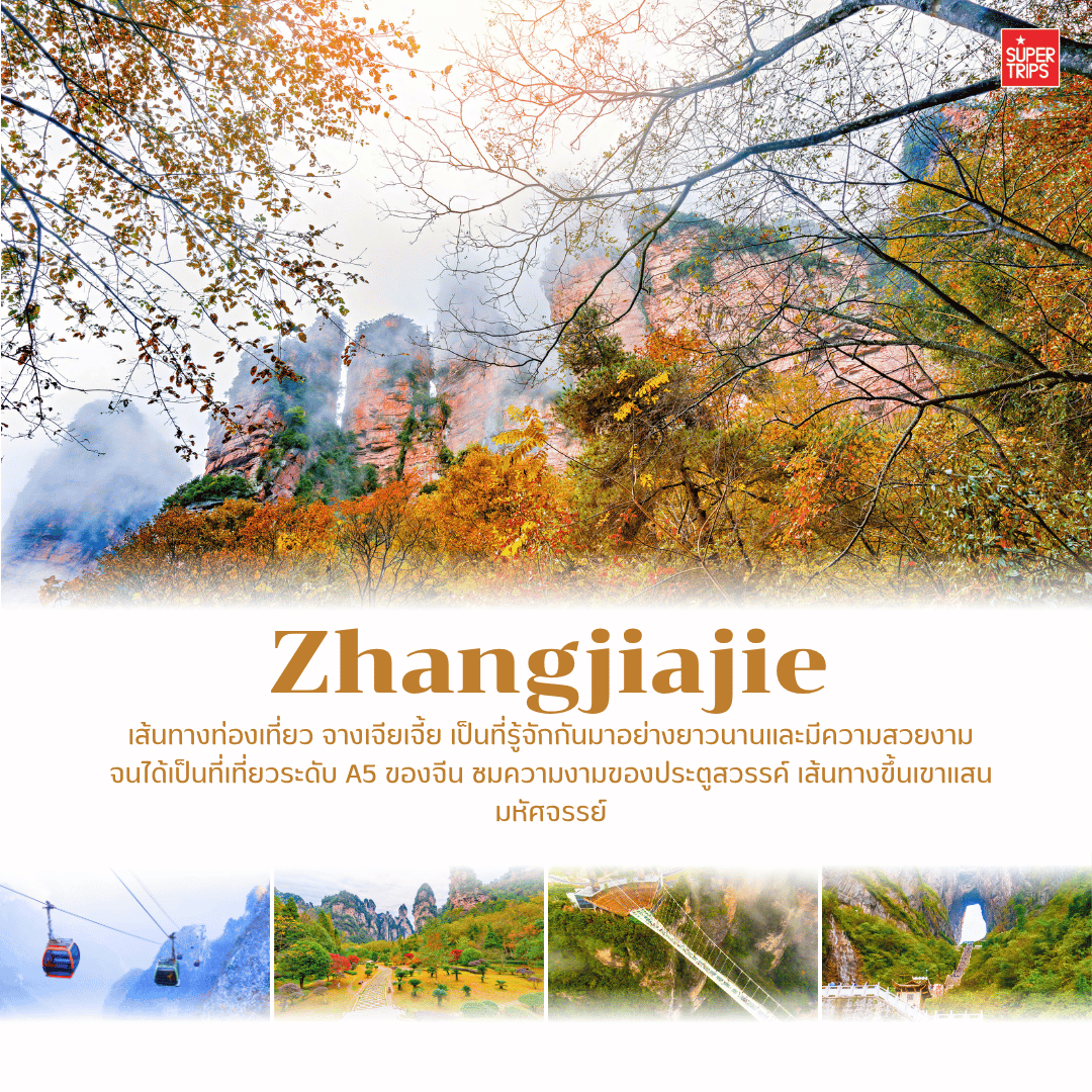 เที่ยวจีนใบไม้เปลี่ยนสี, ที่เที่ยวจีน 2025, ใบไม้เปลี่ยนสีจีน, ภูเขาใบไม้เปลี่ยนสีสวยที่สุดในจีน, ทัวร์จีนฤดูใบไม้ร่วง