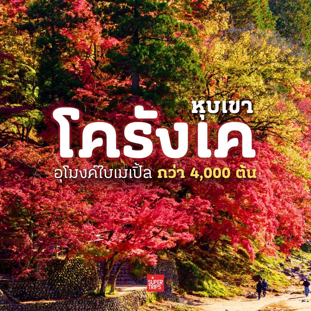 ปักหมุด โครังเค (Korankei) จุดชมใบไม้เปลี่ยนสีที่สวยที่สุดในญี่ปุ่น