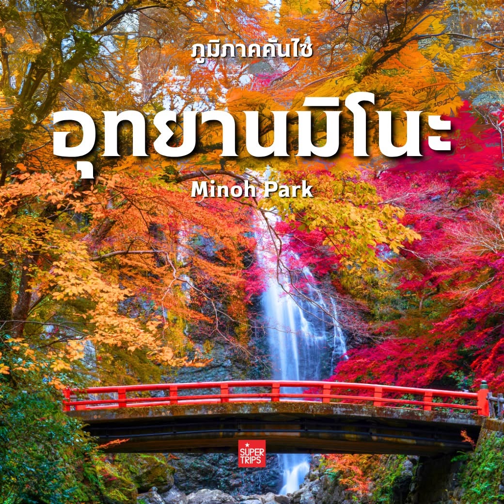 ใบไม้เปลี่ยนสี ญี่ปุ่น, เที่ยวคันไซ ใบไม้แดง, ชิราคาวาโกะ ใบไม้เปลี่ยนสี, โครังเค ใบไม้แดง, ซากุระ โอบาระ