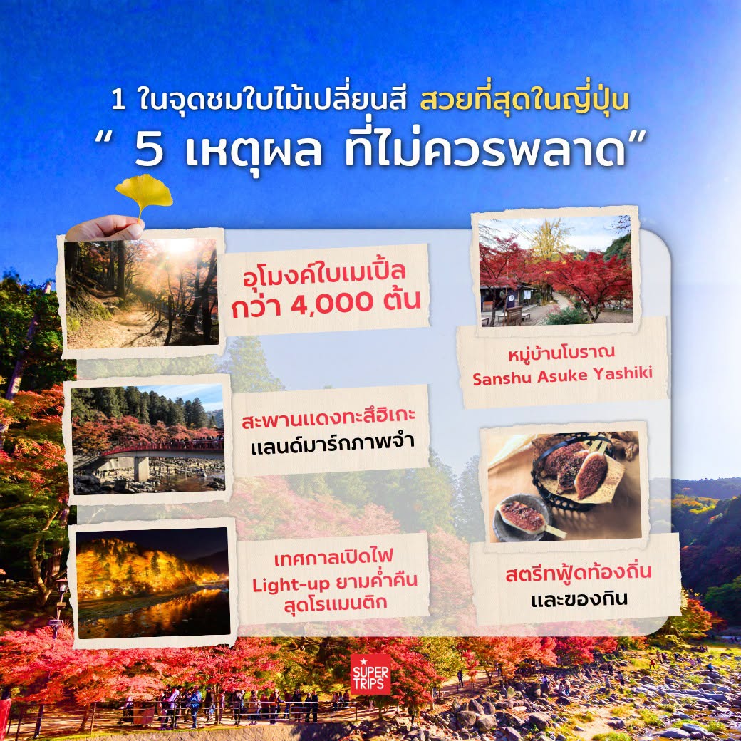 Supertrips, ซูเปอร์ทริปส์, โครังเค, ใบไม้เปลี่ยนสีญี่ปุ่น, เที่ยวญี่ปุ่นด้วยตัวเอง, หุบเขาโครังเค, Korankei Autumn