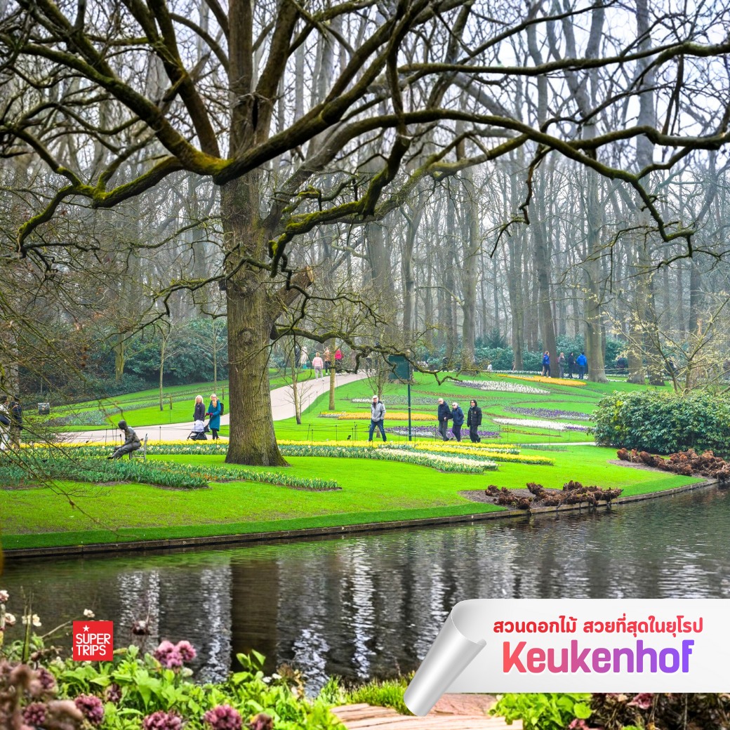 Keukenhof 2569, เทศกาลดอกไม้ยุโรป, สวนเคอเคนฮอฟ, เที่ยวเนเธอร์แลนด์, เที่ยวอัมสเตอร์ดัม, ทัวร์ยุโรปฤดูใบไม้ผลิ, เทศกาลทิวลิป, สวนดอกไม้ยุโรป
