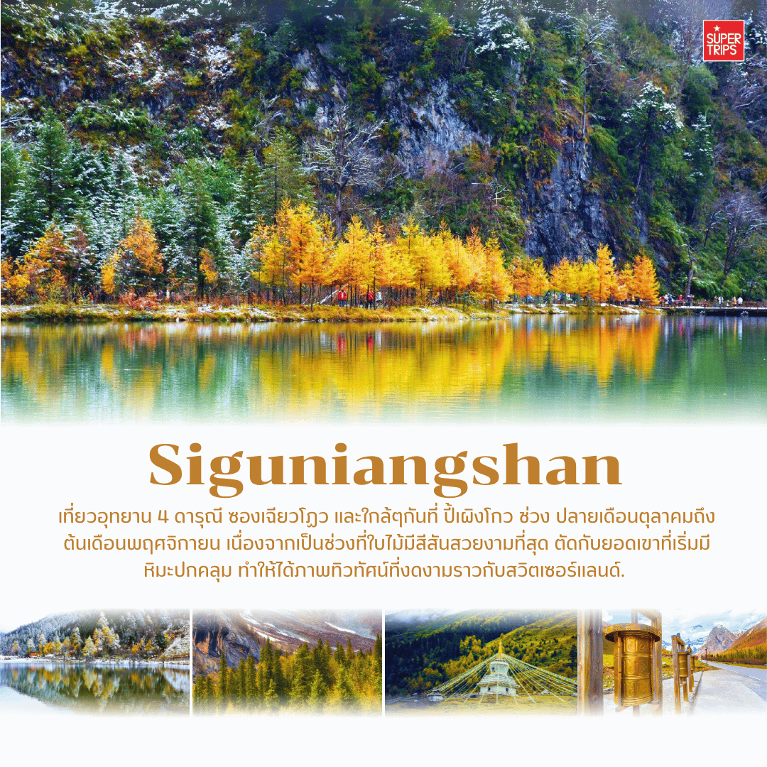 เที่ยวจีนใบไม้เปลี่ยนสี, ที่เที่ยวจีน 2025, ใบไม้เปลี่ยนสีจีน, ภูเขาใบไม้เปลี่ยนสีสวยที่สุดในจีน, ทัวร์จีนฤดูใบไม้ร่วง