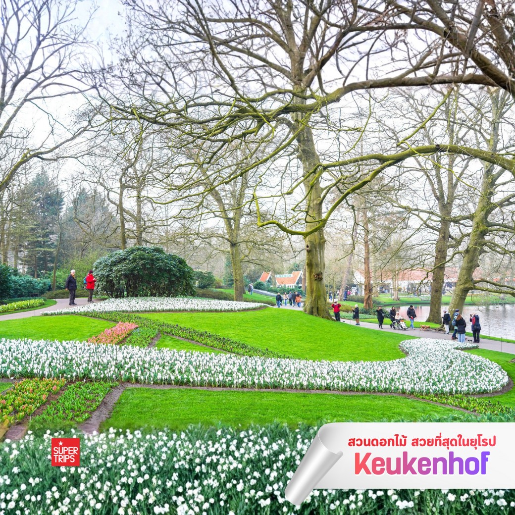 Keukenhof 2569, เทศกาลดอกไม้ยุโรป, สวนเคอเคนฮอฟ, เที่ยวเนเธอร์แลนด์, เที่ยวอัมสเตอร์ดัม, ทัวร์ยุโรปฤดูใบไม้ผลิ, เทศกาลทิวลิป, สวนดอกไม้ยุโรป