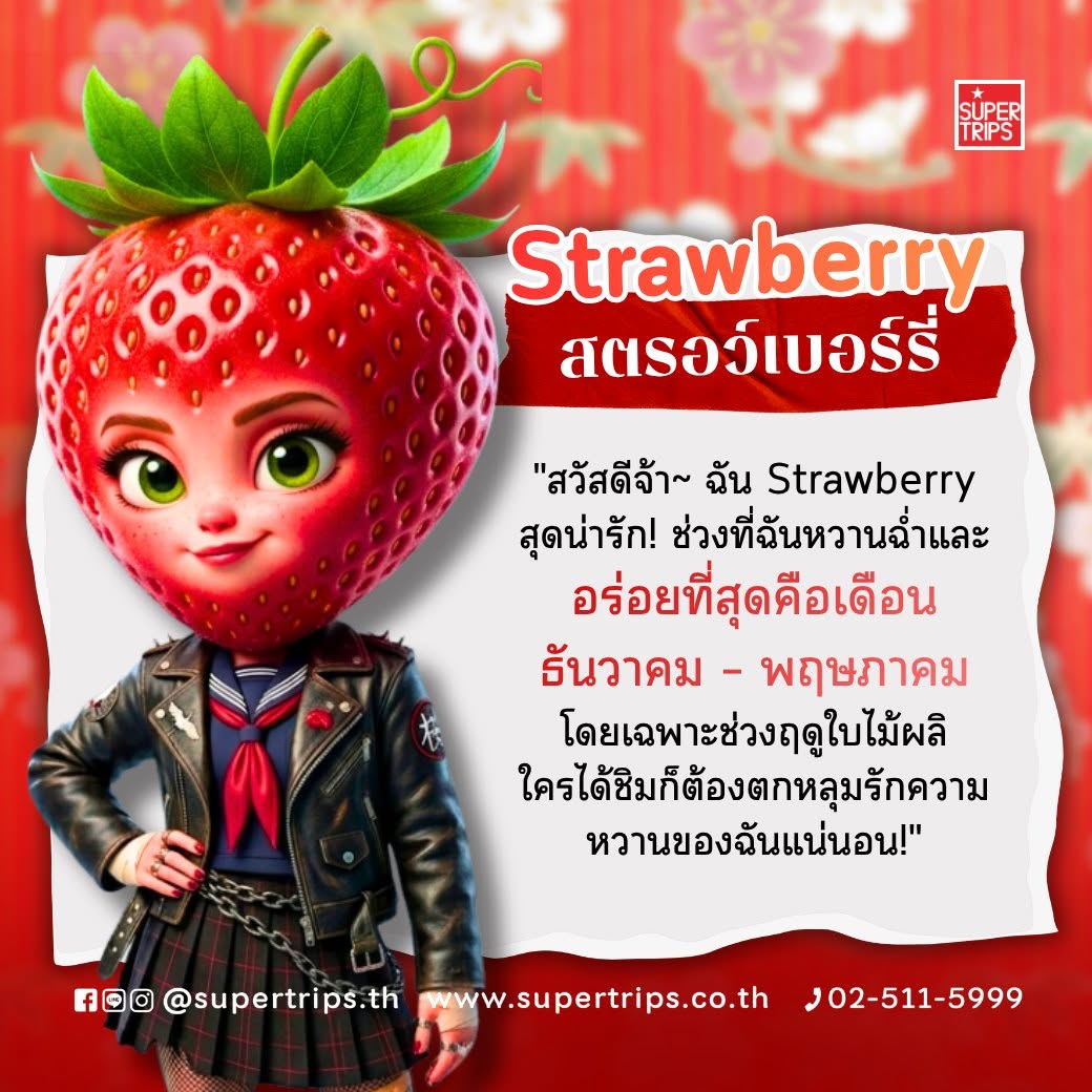 ผลไม้ญี่ปุ่น ฤดูกาล, เที่ยวญี่ปุ่น 2026, สตรอว์เบอร์รี่ญี่ปุ่น เดือนไหน, ผลไม้ญี่ปุ่น เมล่อน พีช, Supertrips วางแผนเที่ยว