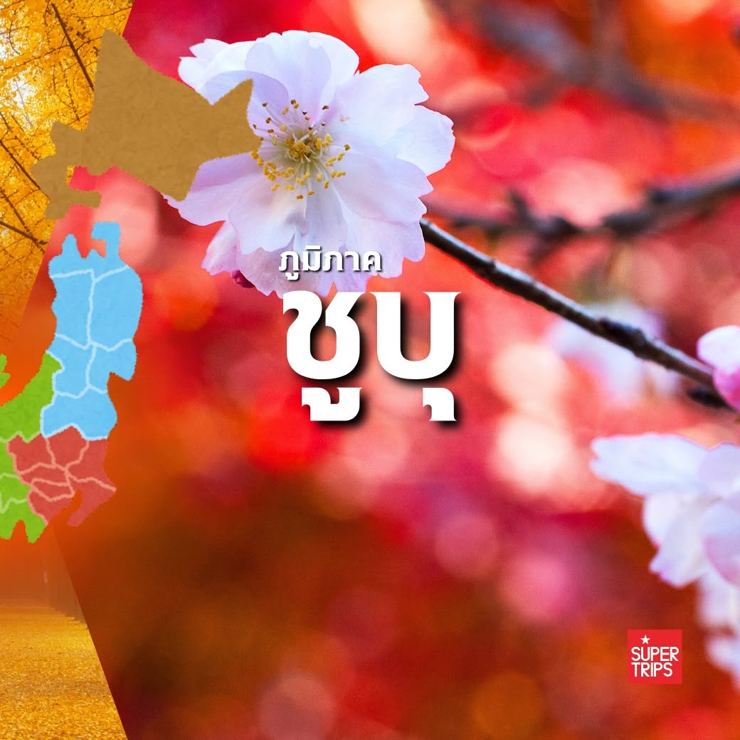 ใบไม้เปลี่ยนสี ญี่ปุ่น, เที่ยวคันไซ ใบไม้แดง, ชิราคาวาโกะ ใบไม้เปลี่ยนสี, โครังเค ใบไม้แดง, ซากุระ โอบาระ