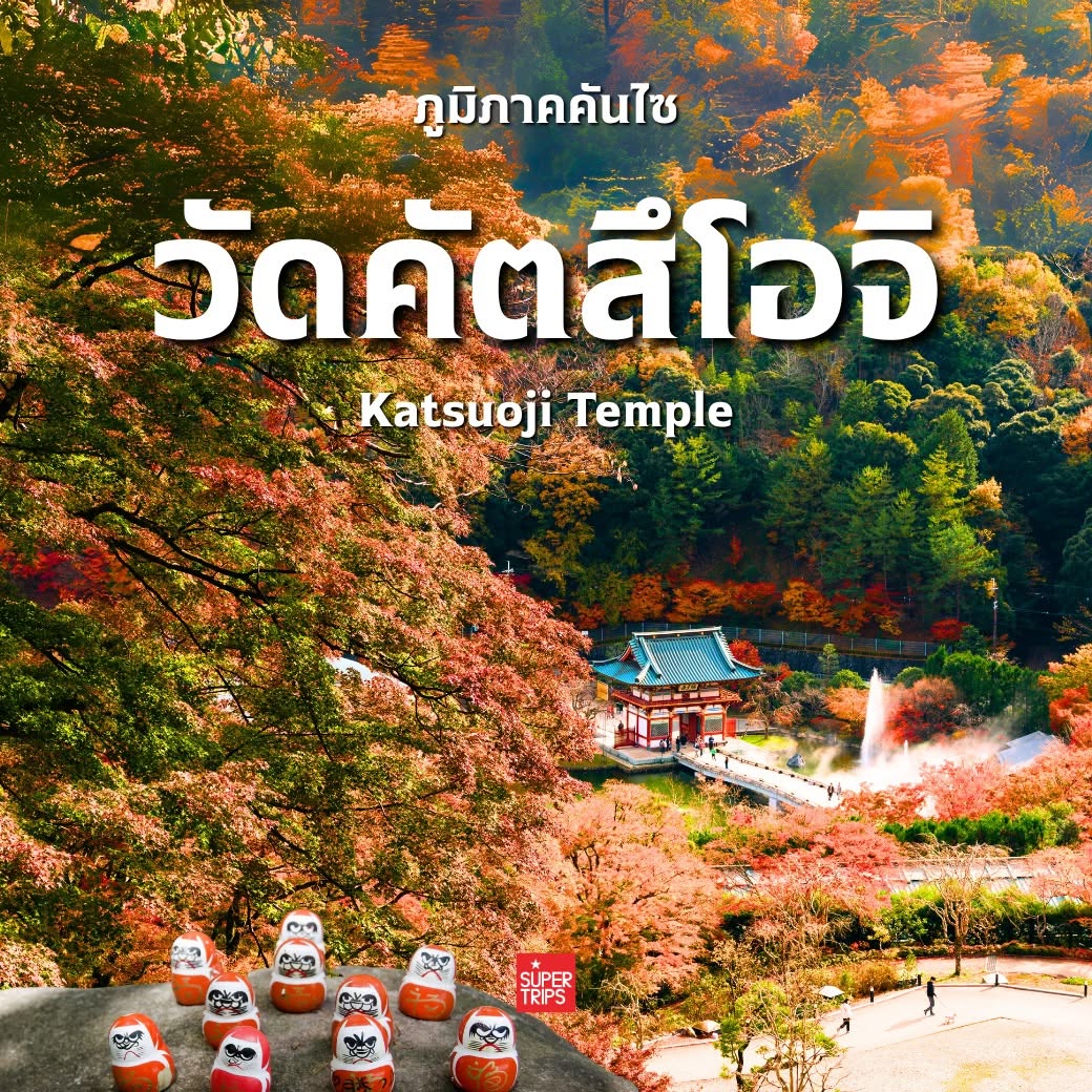 ใบไม้เปลี่ยนสี ญี่ปุ่น, เที่ยวคันไซ ใบไม้แดง, ชิราคาวาโกะ ใบไม้เปลี่ยนสี, โครังเค ใบไม้แดง, ซากุระ โอบาระ