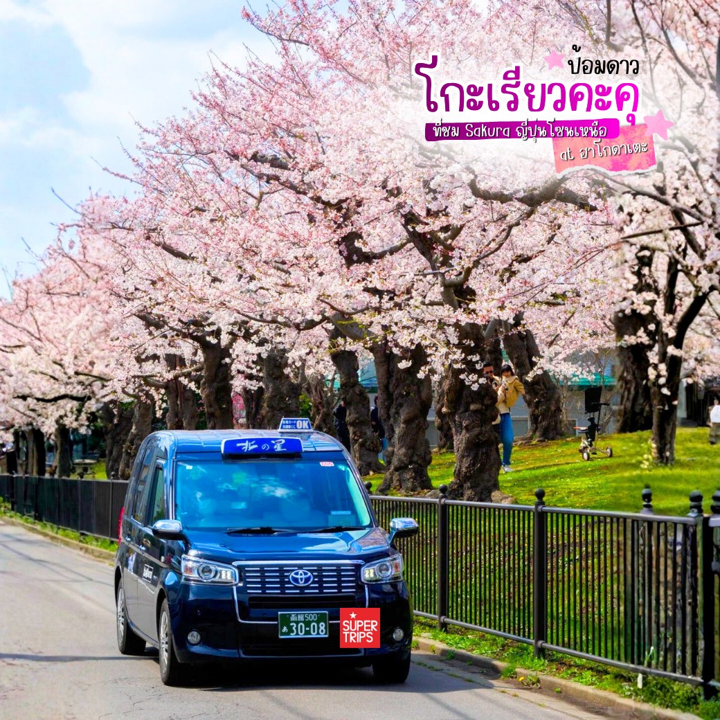 ซากุระฮอกไกโด, Goryokaku Park, เที่ยวฮาโกดาเตะ, ป้อมดาว 5 แฉก, พยากรณ์ซากุระ 2026, เที่ยวญี่ปุ่นเมษายน, Hakodate Sakura, Goryokaku Tower, จุดชมซากุระฮอกไกโด, รีวิวญี่ปุ่น