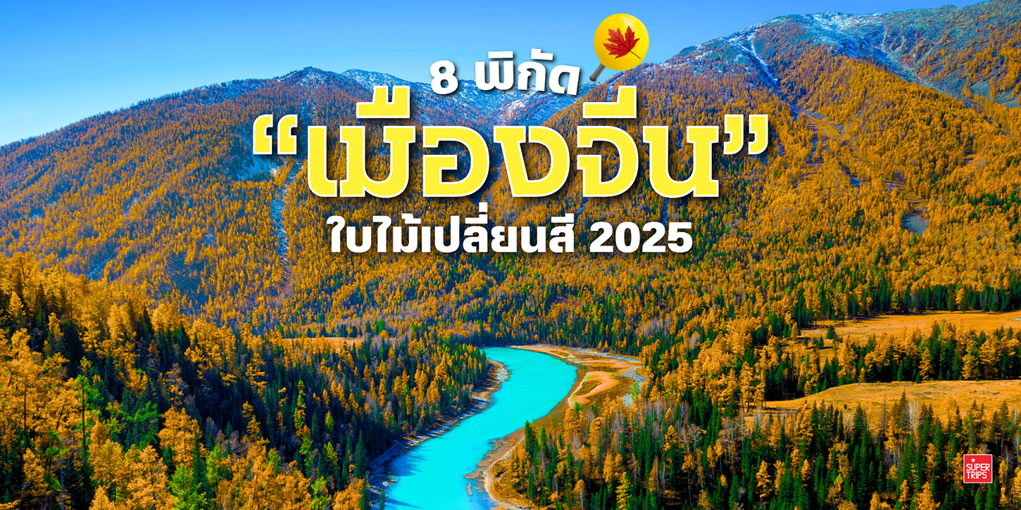 8 พิกัด เที่ยวจีนใบไม้เปลี่ยนสี 2025 รวมที่เที่ยวสวยระดับโลก