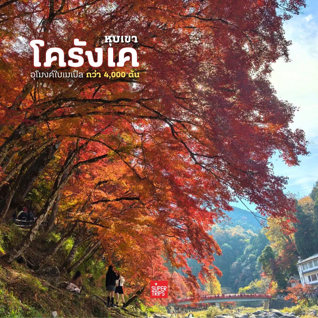 Supertrips, ซูเปอร์ทริปส์, โครังเค, ใบไม้เปลี่ยนสีญี่ปุ่น, เที่ยวญี่ปุ่นด้วยตัวเอง, หุบเขาโครังเค, Korankei Autumn