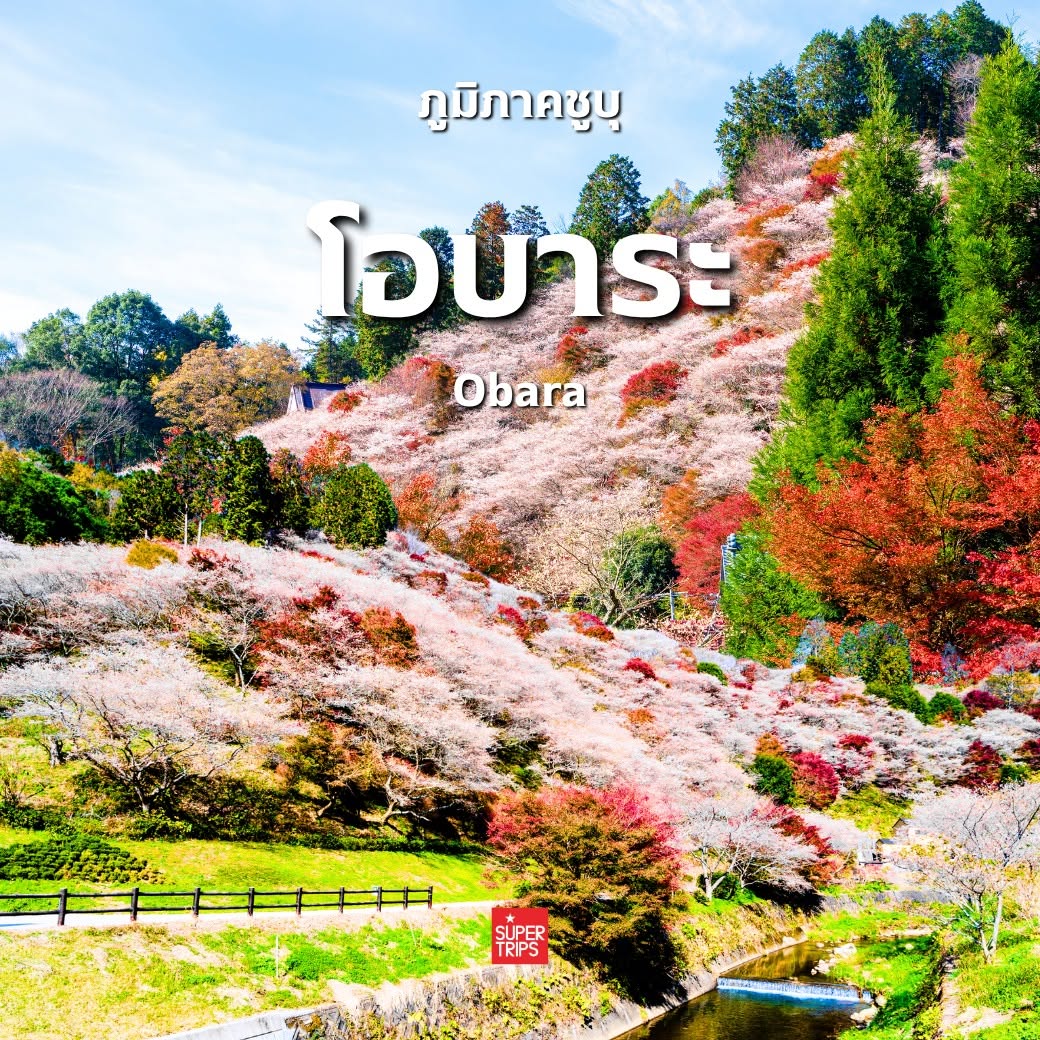 ใบไม้เปลี่ยนสี ญี่ปุ่น, เที่ยวคันไซ ใบไม้แดง, ชิราคาวาโกะ ใบไม้เปลี่ยนสี, โครังเค ใบไม้แดง, ซากุระ โอบาระ