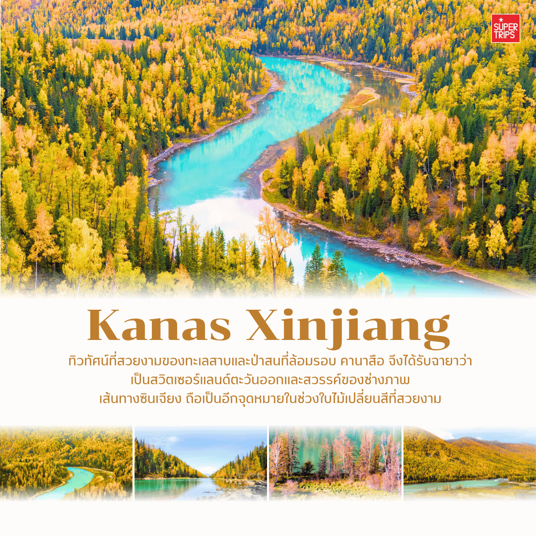 เที่ยวจีนใบไม้เปลี่ยนสี, ที่เที่ยวจีน 2025, ใบไม้เปลี่ยนสีจีน, ภูเขาใบไม้เปลี่ยนสีสวยที่สุดในจีน, ทัวร์จีนฤดูใบไม้ร่วง