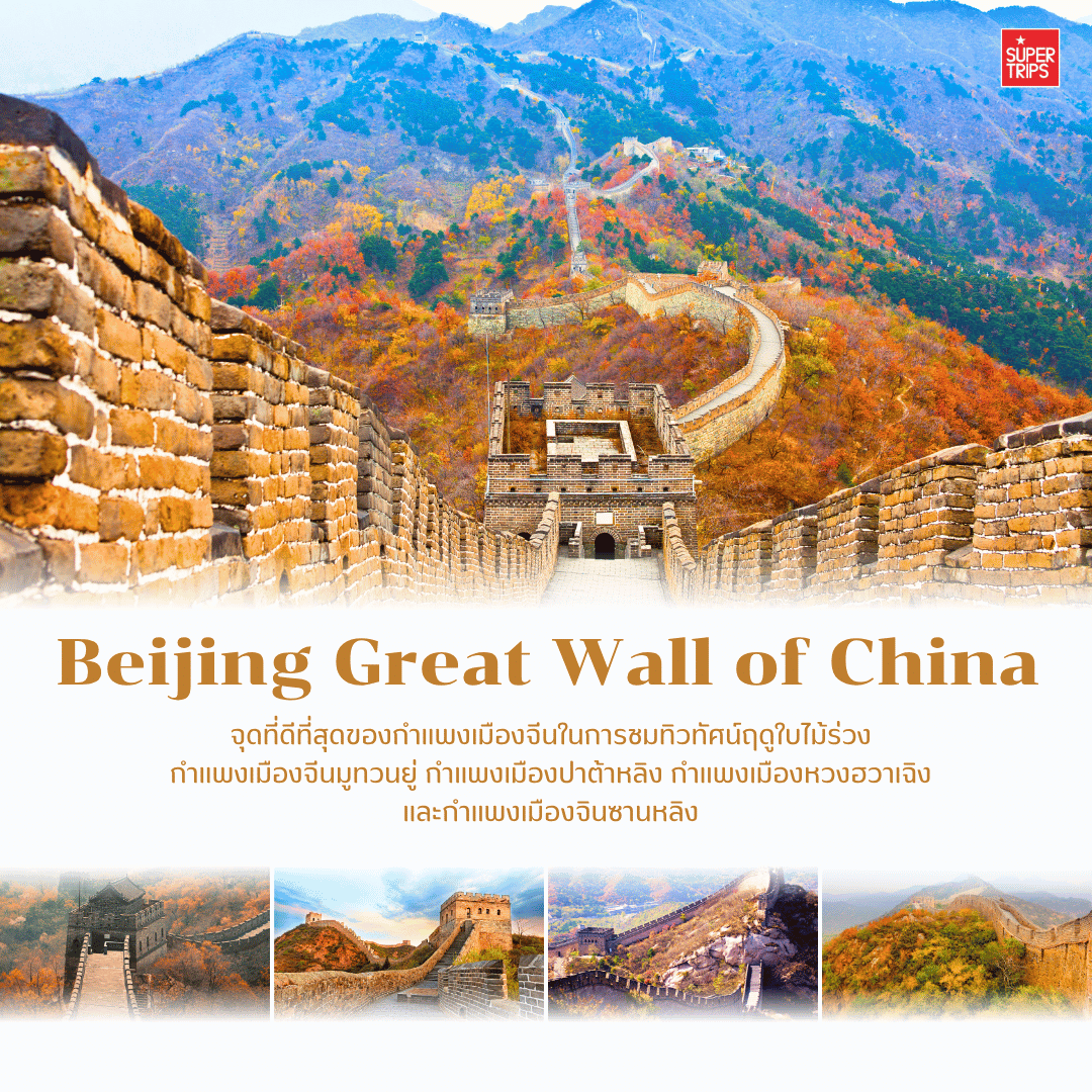 เที่ยวจีนใบไม้เปลี่ยนสี, ที่เที่ยวจีน 2025, ใบไม้เปลี่ยนสีจีน, ภูเขาใบไม้เปลี่ยนสีสวยที่สุดในจีน, ทัวร์จีนฤดูใบไม้ร่วง