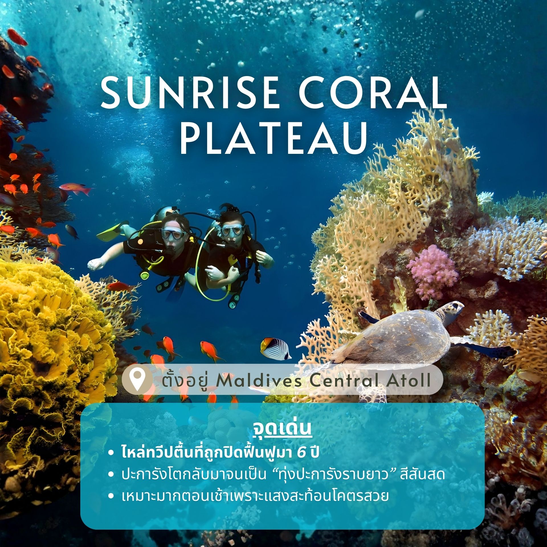 ดำน้ำมัลดีฟส์ 2026, จุดดำน้ำใหม่มัลดีฟส์, ปะการังฟื้นตัวมัลดีฟส์, ดำน้ำ 2026, Maldives dive sites, Coral Restoration Maldives, ที่เที่ยวมัลดีฟส์