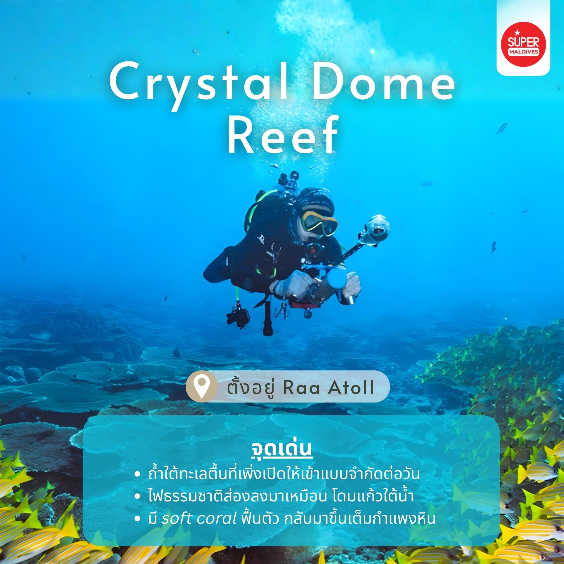 ดำน้ำมัลดีฟส์ 2026, จุดดำน้ำใหม่มัลดีฟส์, ปะการังฟื้นตัวมัลดีฟส์, ดำน้ำ 2026, Maldives dive sites, Coral Restoration Maldives, ที่เที่ยวมัลดีฟส์