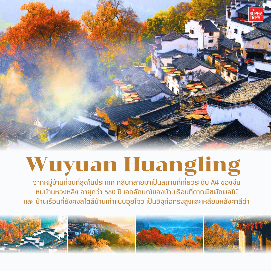 เที่ยวจีนใบไม้เปลี่ยนสี, ที่เที่ยวจีน 2025, ใบไม้เปลี่ยนสีจีน, ภูเขาใบไม้เปลี่ยนสีสวยที่สุดในจีน, ทัวร์จีนฤดูใบไม้ร่วง