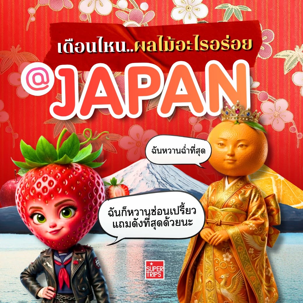 คัมภีร์ผลไม้ญี่ปุ่น 2026: ปักหมุด 
