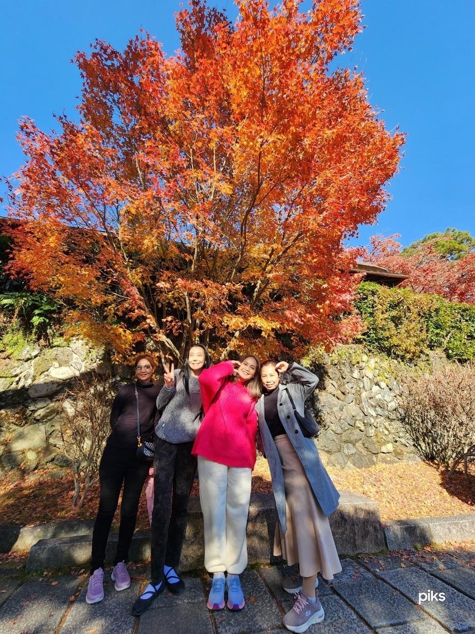 กรุ๊ปทัวร์ส่วนตัว, Private Tour ญี่ปุ่น, ทัวร์ญี่ปุ่นโอซาก้า, ทัวร์เกียวโต, ทัวร์ญี่ปุ่นแบบส่วนตัว, จัดทริปญี่ปุ่น, Supertrips, บริษัททัวร์ญี่ปุ่น, ทัวร์ครอบครัวญี่ปุ่น, ทัวร์กลุ่มส่วนตัวญี่ปุ่น, ทัวร์โอซาก้า เกียวโต, เที่ยวญี่ปุ่นแบบอิสระ, วางแผนเที่ยวญี่ปุ่น, Private Group Tour Japan